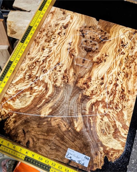 Spalted Elm Burl Bookmatched Guitar Top Set