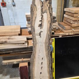 English Ash Slab