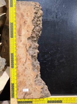 Burr Elm Resin Casting Piece