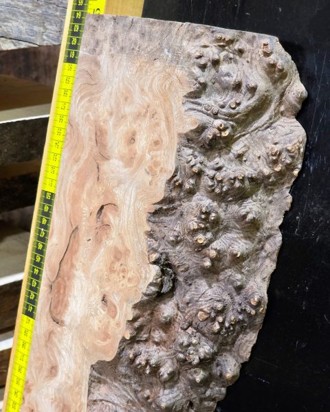 Burr Elm Resin Casting Piece