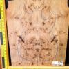 English Elm Burl Guitar & Bass Bookmatched Top Set