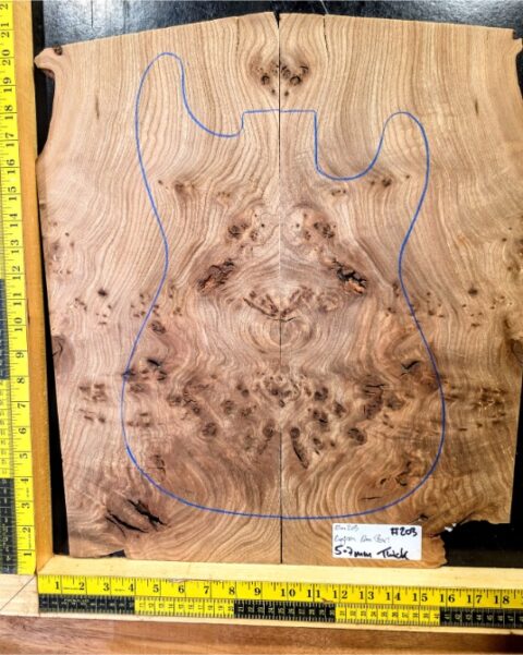 English Elm Burl Guitar & Bass Bookmatched Top Set