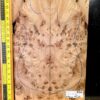 English Elm Burl Guitar & Bass Bookmatched Top Set