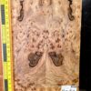 English Elm Burl Guitar & Bass Bookmatched Top Set