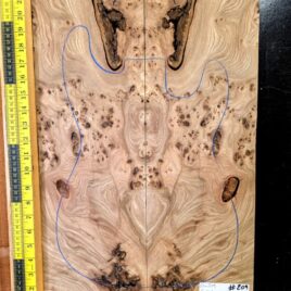 English Elm Burl Guitar & Bass Bookmatched Top Set