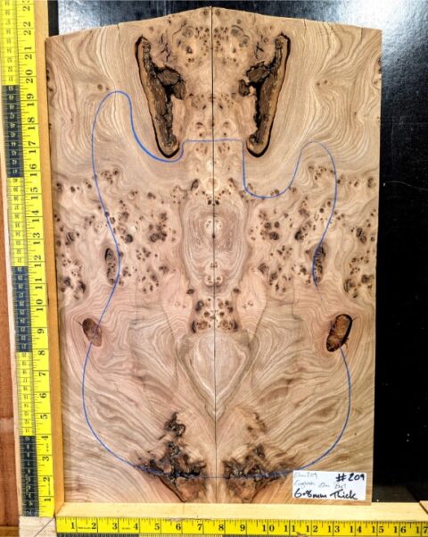 English Elm Burl Guitar & Bass Bookmatched Top Set
