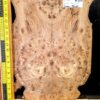 English Elm Burl Guitar & Bass Bookmatched Top Set