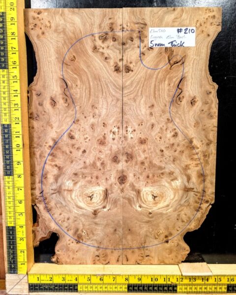 English Elm Burl Guitar & Bass Bookmatched Top Set
