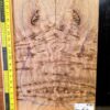 English Elm Burl Guitar & Bass Bookmatched Top Set