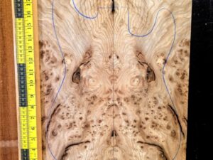 English Elm Burl Guitar & Bass Bookmatched Top Set
