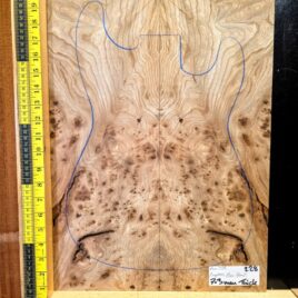 English Elm Burl Guitar & Bass Bookmatched Top Set