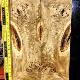 Poplar Burl Bookmatched Top Set