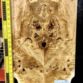 Poplar Burl Bookmatched Top Set