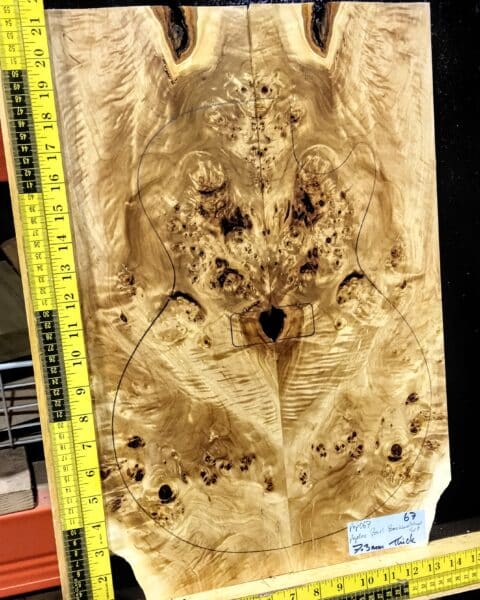 Poplar Burl Bookmatched Top Set