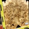 5A Poplar Burl Bookmatched Top Set
