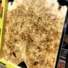 5A Poplar Burl Bookmatched Top Set