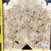 5A Poplar Burl Bookmatched Top Set