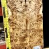 5A Poplar Burl Bookmatched Top Set