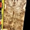 5A Poplar Burl Bookmatched Top Set
