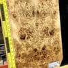 5A Poplar Burl Bookmatched Top Set