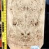 5A Poplar Burl Bookmatched Top Set
