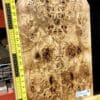 5A Poplar Burl Bookmatched Top Set
