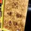 5A Poplar Burl Bookmatched Top Set