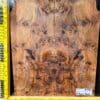 Elm Burl Bookmatched Guitar Top Set 200