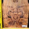 English Elm Burl Guitar & Bass Bookmatched Top Set