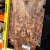 English Elm Burl Guitar & Bass Bookmatched Top Set
