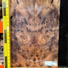 English Elm Burl Guitar & Bass Bookmatched Top Set