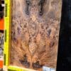 English Elm Burl Guitar & Bass Bookmatched Top Set