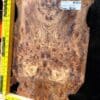 English Elm Burl Guitar & Bass Bookmatched Top Set