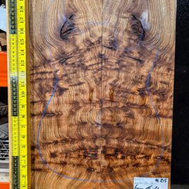 English Elm Burl Guitar & Bass Bookmatched Top Set