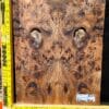 English Elm Burl Guitar & Bass Bookmatched Top Set