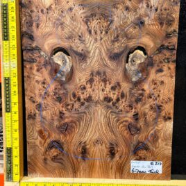 English Elm Burl Guitar & Bass Bookmatched Top Set