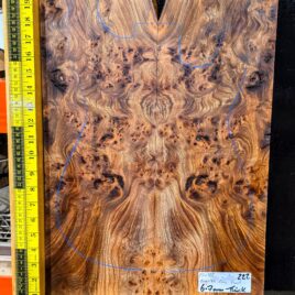 English Elm Burl Guitar & Bass Bookmatched Top Set