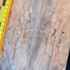 Stabilised Spalted Beech Bookmatched Top Set