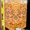 Australian Yellow Box Burl Bookmatched Guitar Top Set