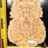 Australian Yellow Box Burl Bookmatched Guitar Top Set