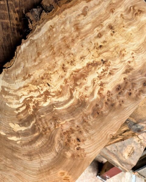 Elm Live Edge Slab