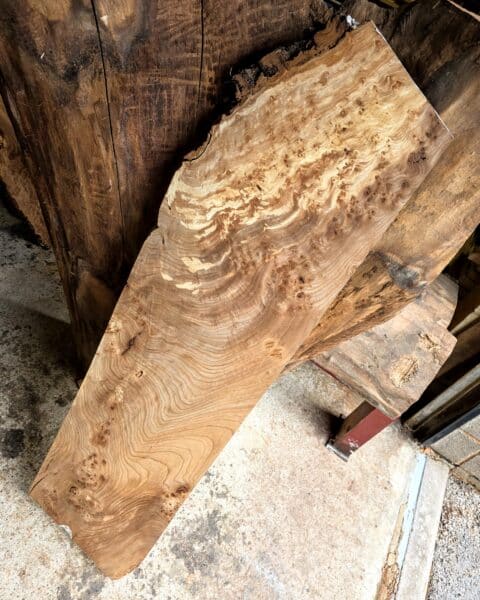 Elm Live Edge Slab