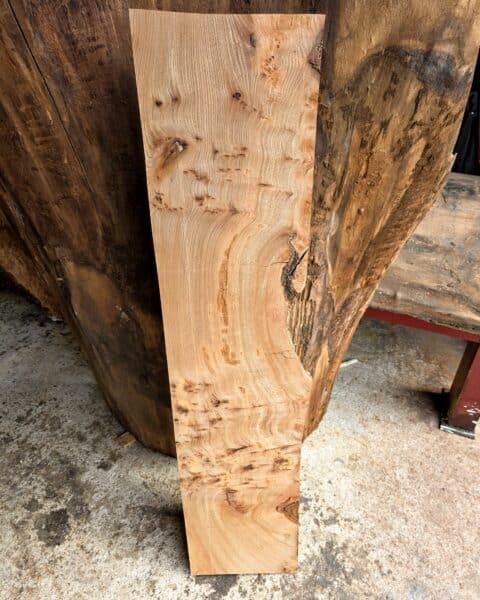 Elm Live Edge Slab