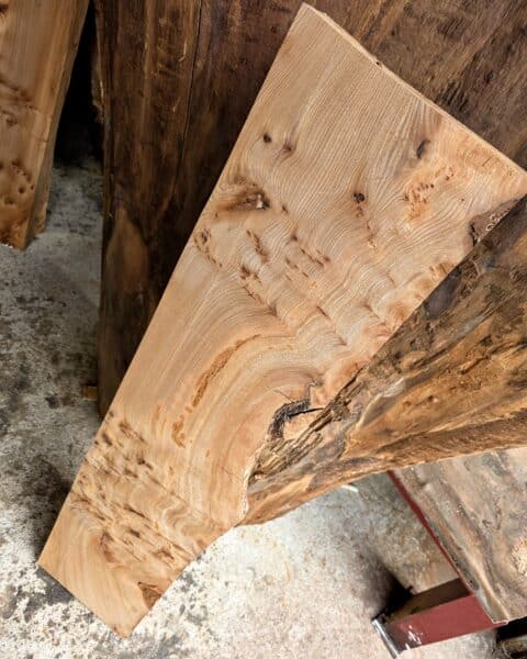Elm Live Edge Slab