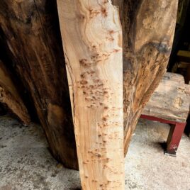 Elm Live Edge Slab