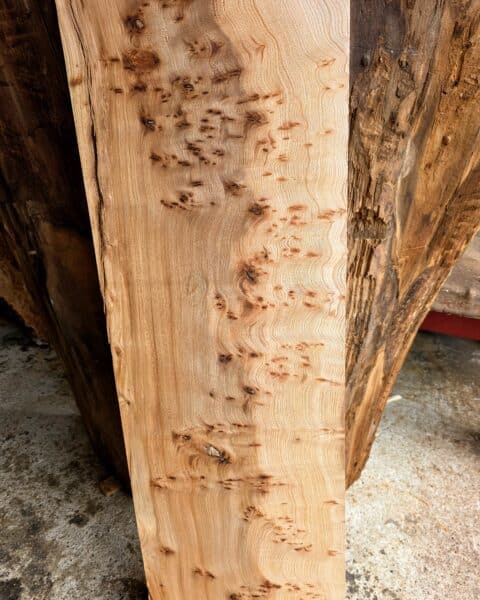 Elm Live Edge Slab