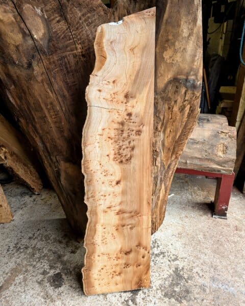 Elm Live Edge Slab