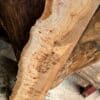 Elm Live Edge Slab