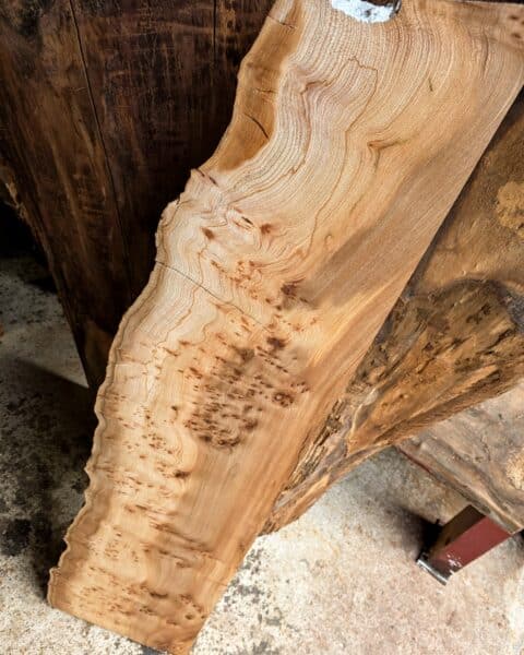 Elm Live Edge Slab