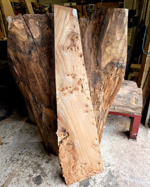Elm Live Edge Slab